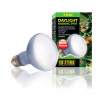 Termo lampy pre teráriá