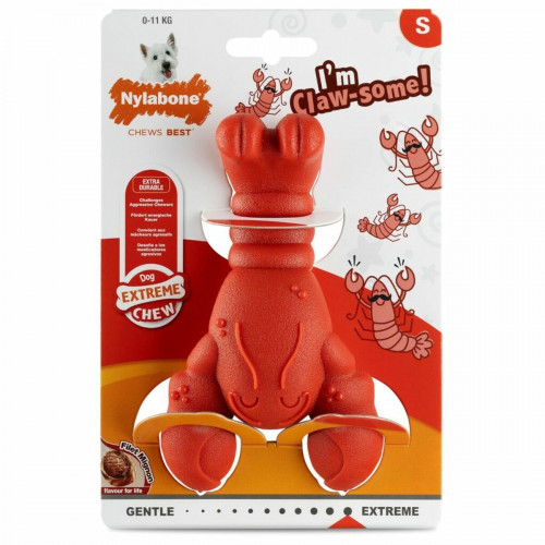 Hračky pre psy Nylabone Červená Hovädzie mäso Umelá S