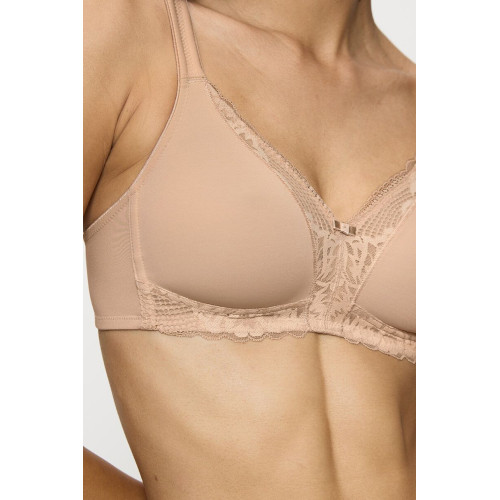 Soft model 229508 Triumph Soft model 229508 Triumph