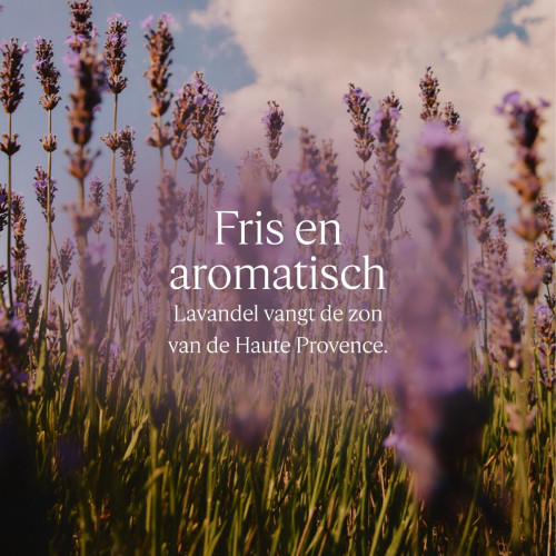 Sprchový gél L'Occitane En Provence KARITÉ CONFORT 500 ml