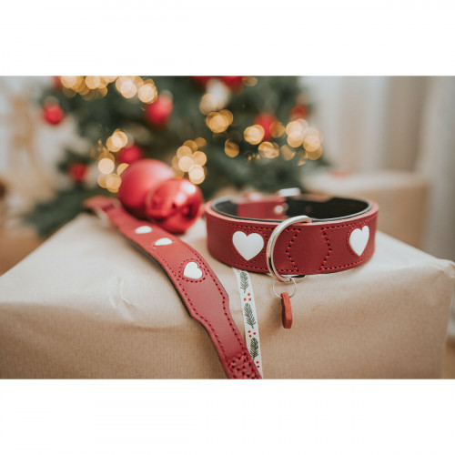 Psí obojok Hunter Love Červená XS 24-28 cm Psí obojok Hunter Love Červená XS 24-28 cm