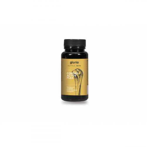 Multivitamínový komplex Supple Pets CONDRO ACTIVE FLEX 60 tabletiek